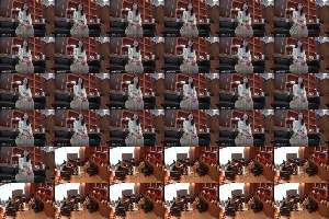 C-2942 Mature Wife Interview POV [41]