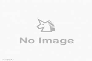 FC2-PPV-4541390 Previous female ** Challenging influencers often see strange stories and survive in FC2 limited edition! All I have to do is invite P to discuss matters in the public office. “No, please leave!”