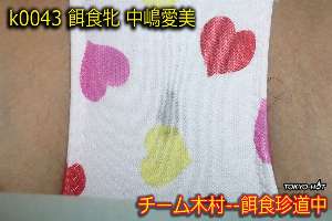 k0043 Tokyo Hot Go Hunting! — Manami Nakajima