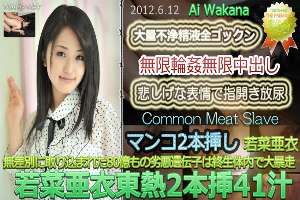 n0753 Tokyo Hot Common Meat Slave