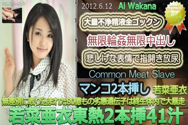 n0753 Tokyo Hot Common Meat Slave