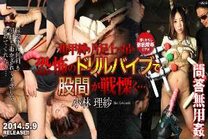 n0948 Tokyo Hot Bondage Beauty Doll